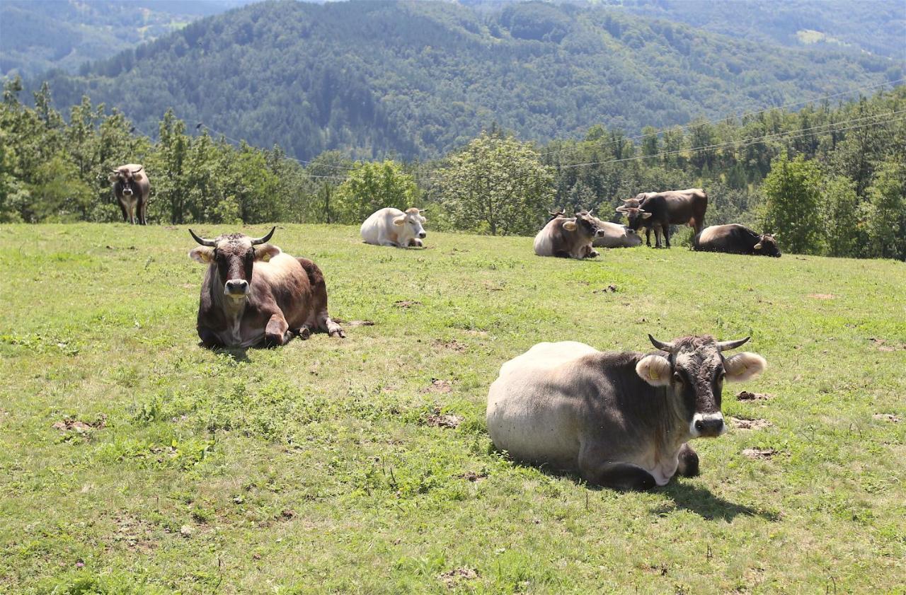 Mecavnik Resort Mokra Gora Eksteriør billede